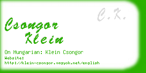 csongor klein business card